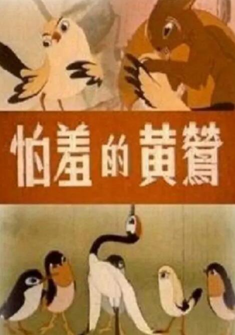 室友的姐姐
