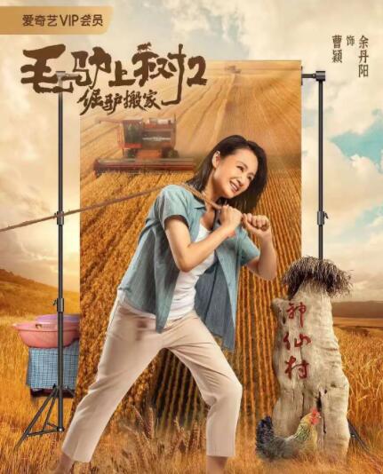 成人小视频在线观看免费
