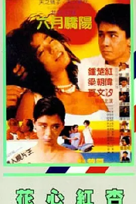国内精品久久久久久久久野战