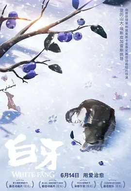 亚洲精品在